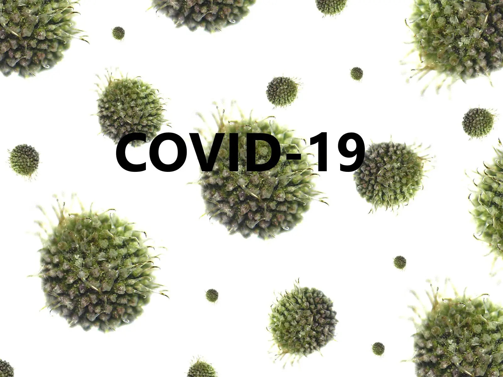 Glutathione Can Saves Lives - COVID19