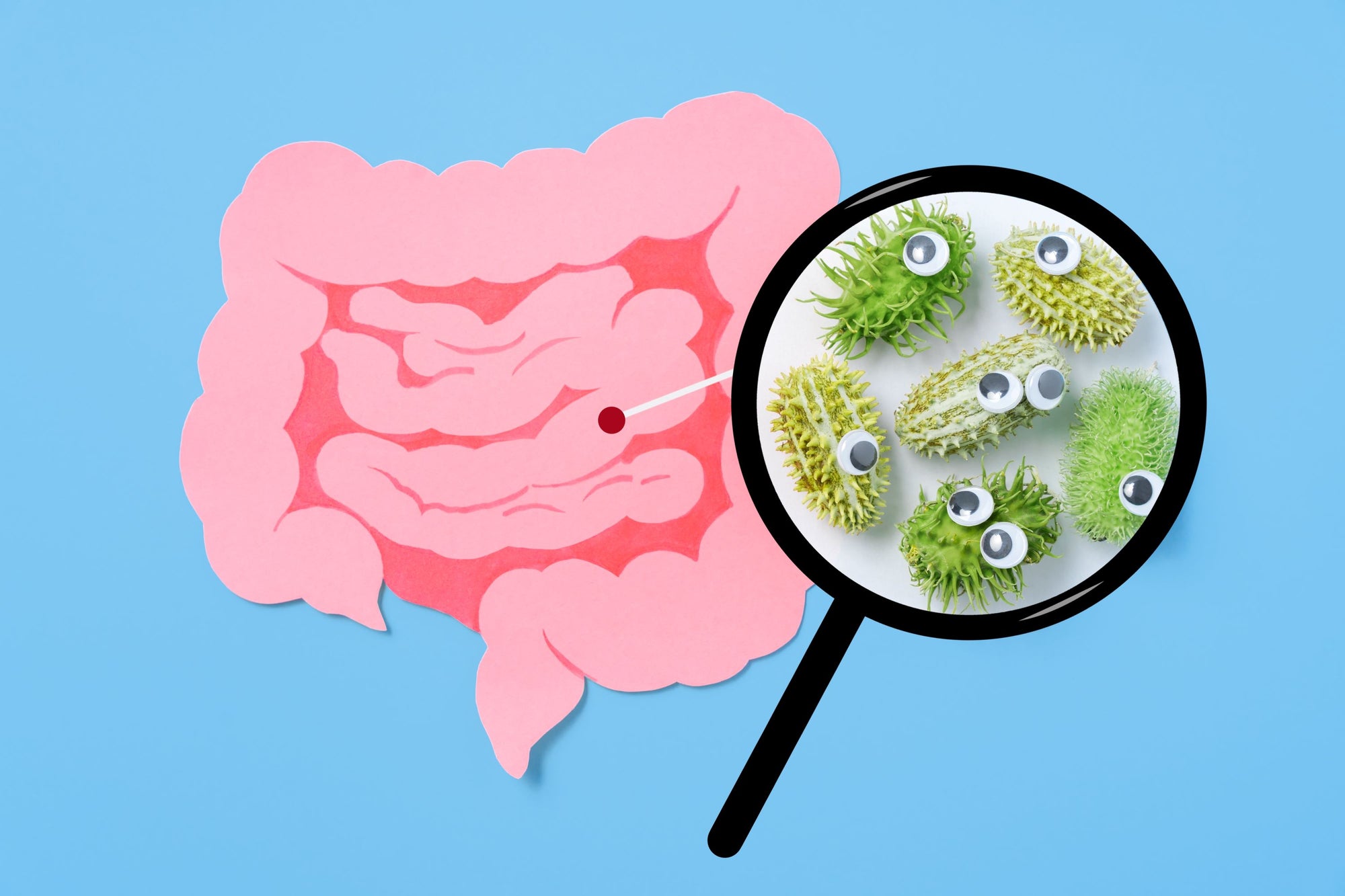 bone broth powder for a healthy gut 
